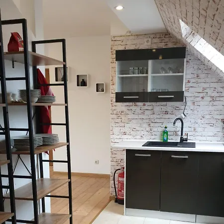 Vogelnest Apartmán Riesa